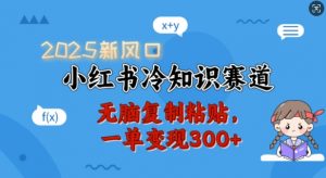 2025新风口，小红书冷知识赛道，无脑复制粘贴，一单变现300+-沐风资源库