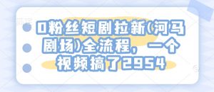 0粉丝短剧拉新(河马剧场)全流程，一个视频搞了2954-沐风资源库