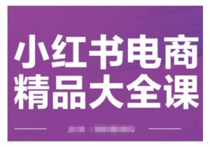 小红书电商精品大全课，快速掌握小红书运营技巧，实现精准引流与爆单目标，轻松玩转小红书电商-沐风资源库