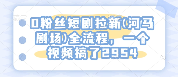 0粉丝短剧拉新(河马剧场)全流程，一个视频搞了2954-沐风资源库