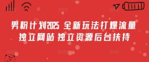 男粉计划2025  全新玩法打爆流量 独立网站 独立资源后台扶持【揭秘】-沐风资源库