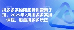 拼多多实操陪跑特训营弟子班，2025年2月拼多多实操课程，海量拼多多玩法-沐风资源库
