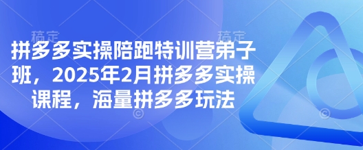 拼多多实操陪跑特训营弟子班，2025年2月拼多多实操课程，海量拼多多玩法-沐风资源库