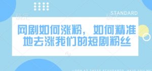 网剧如何涨粉，如何精准地去涨我们的短剧粉丝-沐风资源库