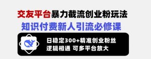 交友平台暴力截流创业粉玩法,知识付费新人引流必修课,日稳定300+精准创业粉丝,逻辑相通可多平台放大-沐风资源库