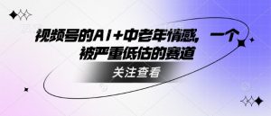 视频号的AI+中老年情感，一个被严重低估的赛道-沐风资源库
