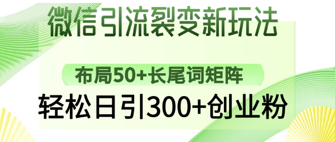 微信引流裂变新玩法：布局50+长尾词矩阵，轻松日引300+创业粉-沐风资源库