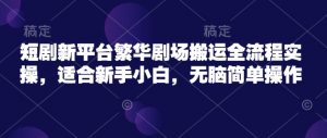短剧新平台繁华剧场搬运全流程实操，适合新手小白，无脑简单操作-沐风资源库
