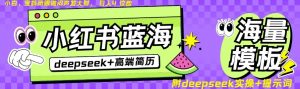 Deepseek+小红书简历蓝海赛道，24小时网盘自动发货，零成本，不限时间地点，日入四位数-沐风资源库