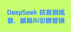 DeepSeek 获客训练营，破局AI引爆营销-沐风资源库