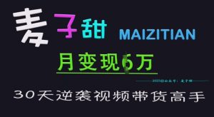 麦子甜30天逆袭视频带货高手，单月变现6W加特训营-沐风资源库