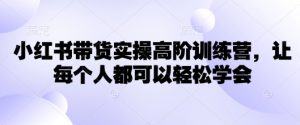 小红书带货实操高阶训练营，让每个人都可以轻松学会-沐风资源库