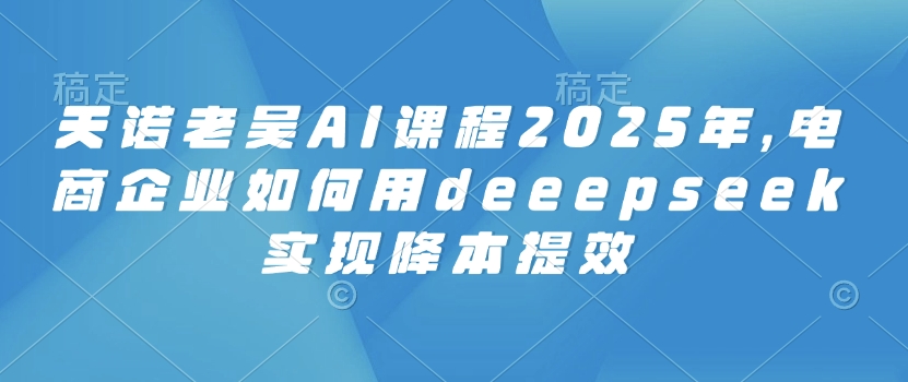 天诺老吴AI课程2025年，电商企业如何用deeepseek实现降本提效-沐风资源库