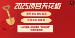 2025项目天花板普通人如何通过知识付费，实现财F自由【揭秘】-沐风资源库