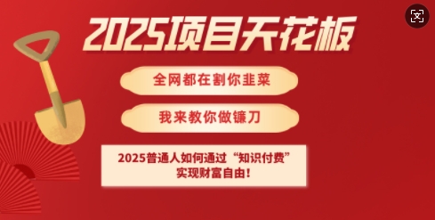 2025项目天花板普通人如何通过知识付费，实现财F自由【揭秘】-沐风资源库