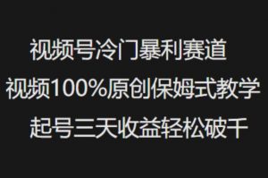 视频号冷门暴利赛道视频100%原创保姆式教学起号三天收益轻松破千-沐风资源库