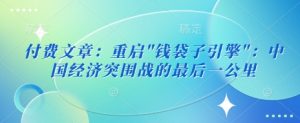 付费文章：重启”钱袋子引擎”：中国经济突围战的最后一公里-沐风资源库