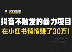 抖音不敢发的暴利项目，在小红书悄悄挣了30W-沐风资源库