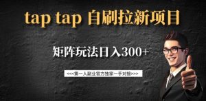taptap拉新自刷项目，一个新用户14元，矩阵玩法日入300+-沐风资源库