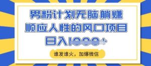 男粉计划无脑躺Z，顺应人性的风口项目，谁发谁火，加爆微信，日入多张【揭秘】-沐风资源库