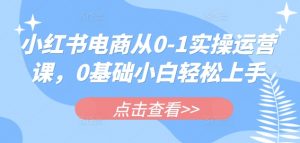 小红书电商从0-1实操运营课，0基础小白轻松上手-沐风资源库