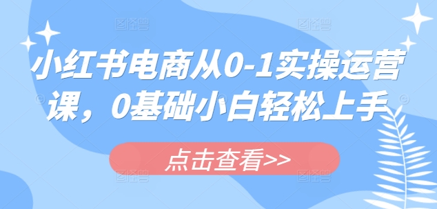 小红书电商从0-1实操运营课，0基础小白轻松上手-沐风资源库