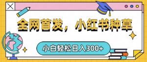 小红书种草，手机项目，日入3张，复制黏贴即可，可矩阵操作，动手不动脑【揭秘】-沐风资源库