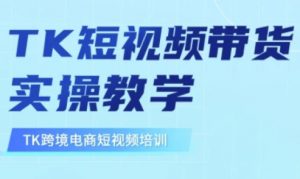 东南亚TikTok短视频带货，TK短视频带货实操教学-沐风资源库