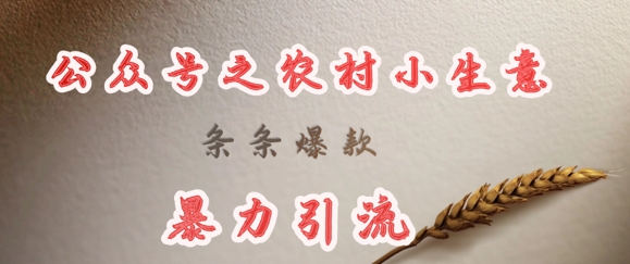 deepseek写农村小项目，条条爆款，暴力引流-沐风资源库