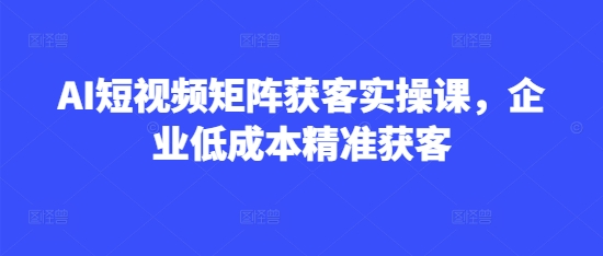 AI短视频矩阵获客实操课，企业低成本精准获客-沐风资源库