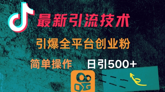 最新引流方法，引爆全平台的一个创业粉，简单操作日引300+-沐风资源库