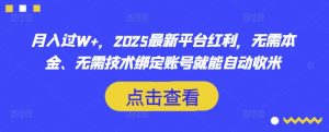 月入过W+，2025最新平台红利，无需本金、无需技术绑定账号就能自动收米-沐风资源库