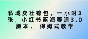 私域卖壮锦包，一小时3张，小红书蓝海赛道3.0版本， 保姆式教学-沐风资源库