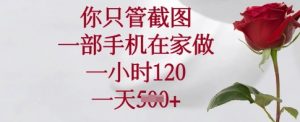 你只管截图，一部手机在家做，一小时120.一天5张【揭秘】-沐风资源库