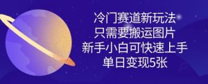 冷门赛道新玩法，只需要搬运图片，新手小白可快速上手，单日变现多张-沐风资源库