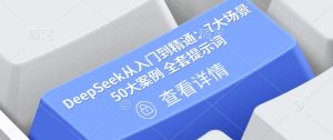 DeepSeek从入门到精通：7大场景 50大案例 全套提示词【文档】-沐风资源库