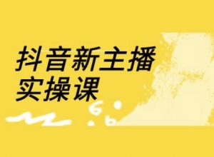 抖音新主播实操课，直播间流量运营线上实操课(18节)-沐风资源库