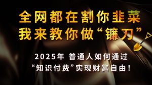 全网都在割你韭菜，我来教你做镰刀，2025普通人如何通过知识付费，实现财F自由【揭秘】-沐风资源库