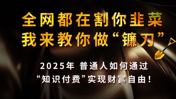 全网都在割你韭菜，我来教你做镰刀，2025普通人如何通过知识付费，实现财F自由【揭秘】-沐风资源库