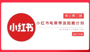 2025小红书虚拟电商实战课，从0到1打造无货源店铺，AI+爆款笔记轻松变现-沐风资源库