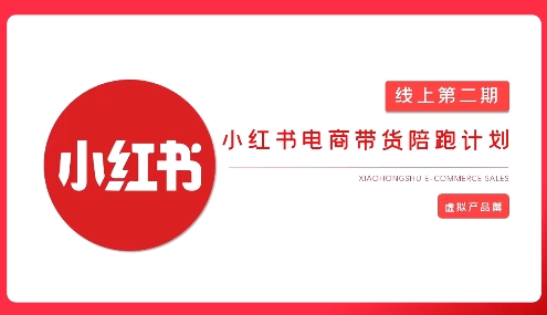 2025小红书虚拟电商实战课，从0到1打造无货源店铺，AI+爆款笔记轻松变现-沐风资源库