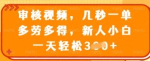 审核视频，几秒一单，多劳多得，新人小白一天轻松3张【揭秘】-沐风资源库