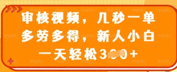 审核视频，几秒一单，多劳多得，新人小白一天轻松3张【揭秘】-沐风资源库