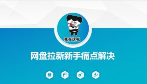 网盘拉新新手痛点解决，网盘引流+变现优化方案-沐风资源库