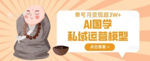 AI国学私域运营模型，单号月变现过W-沐风资源库