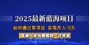 2025蓝海项目，普通人如何通过卖项目，实现月入过W，全过程【揭秘】-沐风资源库