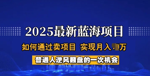 2025蓝海项目，普通人如何通过卖项目，实现月入过W，全过程【揭秘】-沐风资源库