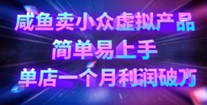 咸鱼卖小众虚拟产品，简单易上手，单店一个月利润破W-沐风资源库