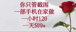 你只管截图，一部手机在家操作，一小时120.一天5张【揭秘】-沐风资源库
