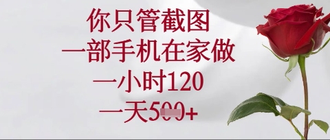 你只管截图，一部手机在家操作，一小时120.一天5张【揭秘】-沐风资源库